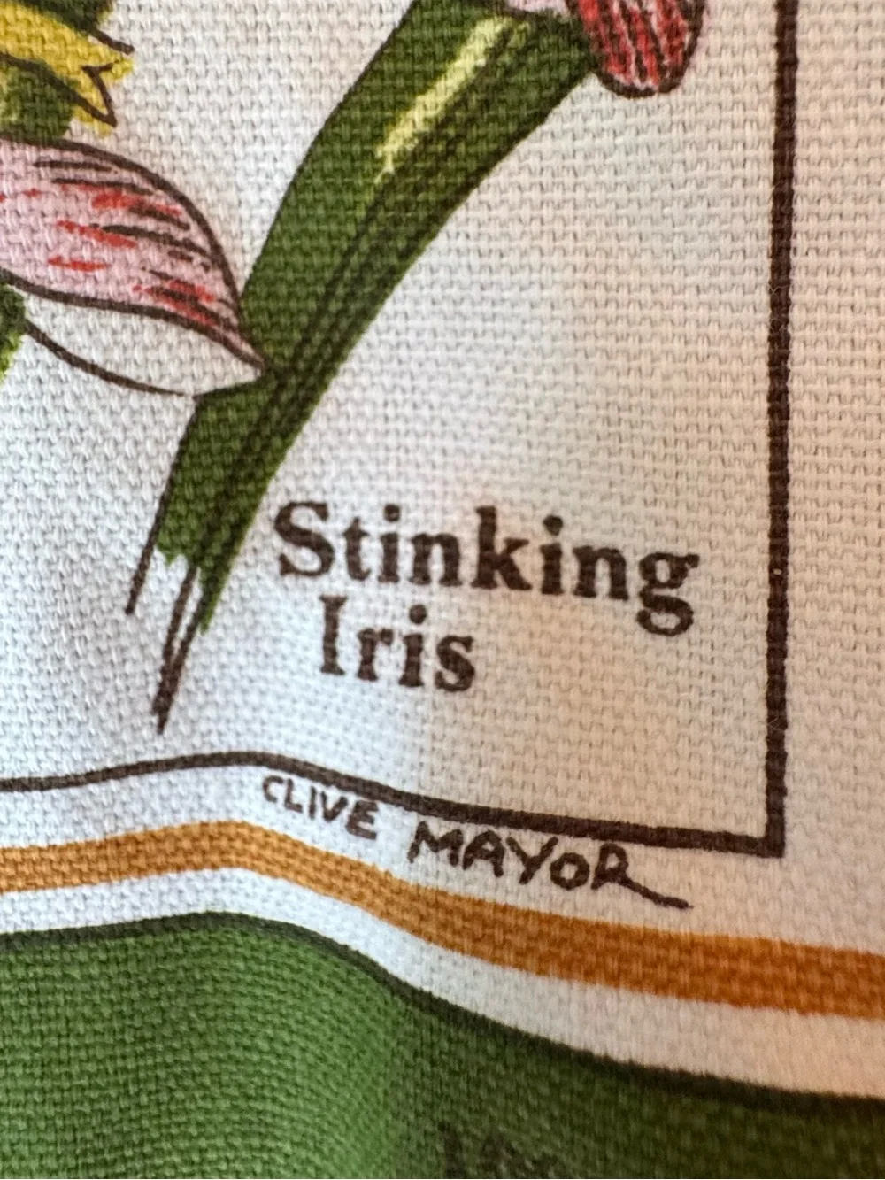 Clive Mayor Apron Wild Flowers of Yorkshire Green Floral Kitchen Apron Botanical
